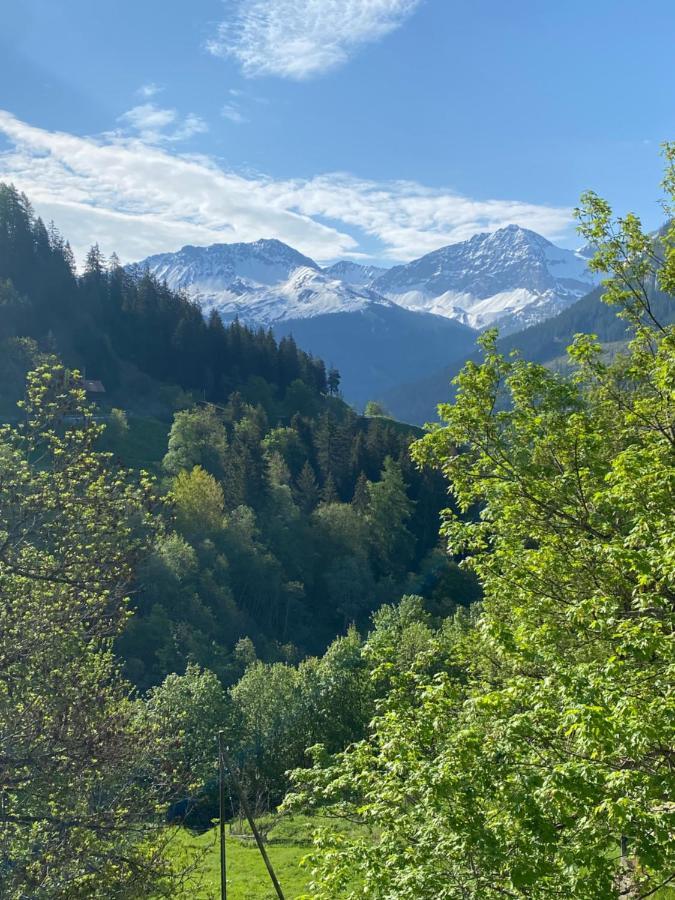Appartement Bambi Auf 1400 M Nahe Arosa Peist