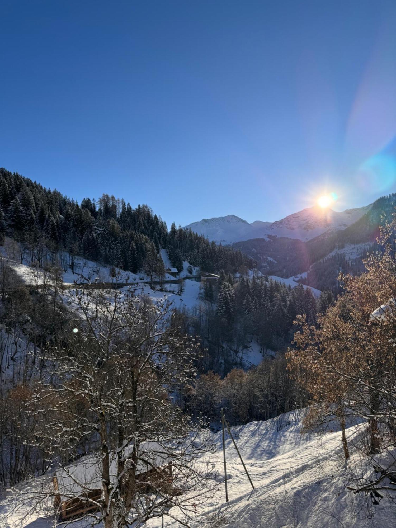 Bambi Auf 1400 M Nahe Arosa Appartement Peist